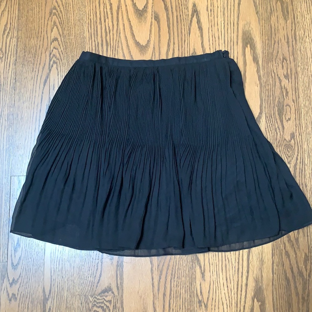 Sparkle & Fade Pleated Chiffon Skirt with Lining